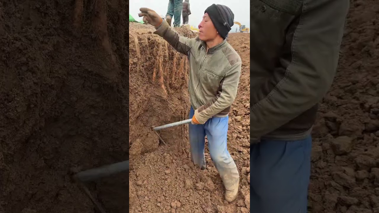 The sounds of heaven and earth are stirring 2