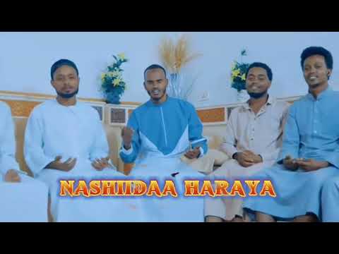 Nashiidaa Haaraya 2025 