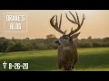 Drake's Blog | Biggest Buck Ever, Taxidermy Pickup