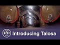 Talosa Winery Montepulciano Etruscan Underground Cellar Tour