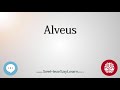 Alveus   anatomy of the brain   seehearsaylearn 