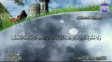 نبرة حدرية عجيبة لسورة " فصلت "  || للقارئ الشيخ : محمد أيوب رحمه الله || من مختارات المجد HD