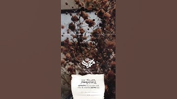 (إِنَّ ٱللَّهَ وَمَلَـٰۤىِٕكَتَهُۥ یُصَلُّونَ عَلَى ٱلنَّبِیِّۚ)[سورة الأحزاب 56]