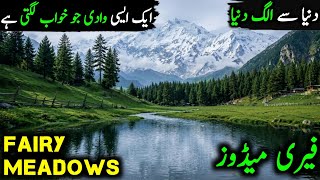 Travel to Fairy Meadows Urdu | فیری میڈوز کی سیر | Pakistan Travel Documentary