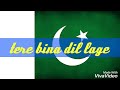 Mili naghmay wahtsapp status || tere bina dil na lage by faakhir || even green national song Whatsapp Status Video Download Free