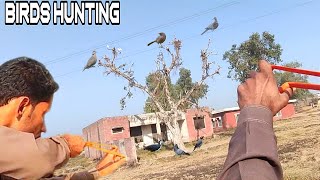 Mix Birds Hunting with Slingshot!