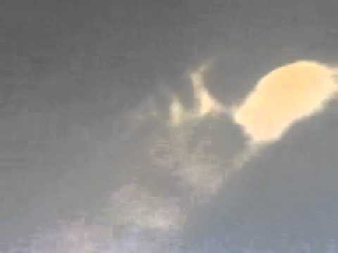 معجزه ليله القدر.3gp