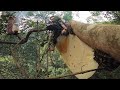 Ong Khoái Khủng Dài Hơn 2 Mét & Săn Bắt và Trải Nghiệm