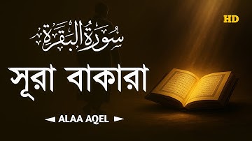 সূরা আল বাকারা। Al-Baqara سورة البقره | Most Beautiful Reaction of Surah Baqarah by sundor quran tv