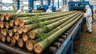 Inside Real Recycling & Manufacturing Factories Net Worth