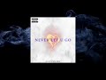 Suave Sounds - Never Let U Go (Audio)