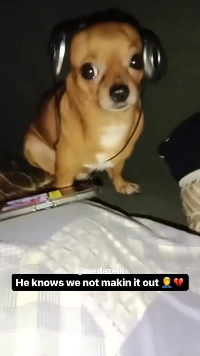 I Made Coco Listen To My Music 🔥