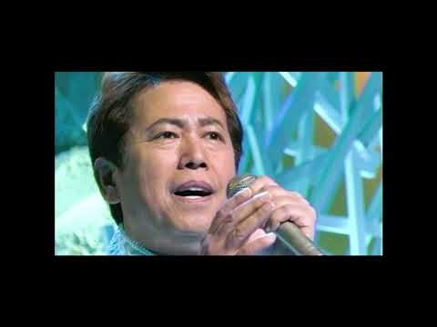 【　バス・ストップ　・ファルセット・ビブラート実験　】　氷川きよしVer　Cover　共鳴　丹田Ⅷ　2025,1,28