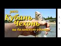 Ловля чехони на болонскую удочку.Рыбалка на реке Кубань.