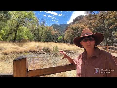 April 16, 2022 - Ramsey Canyon Preserve,  Sierra Vista,  Arizona