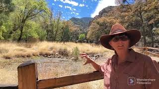 April 16, 2022  Ramsey Canyon Preserve,  Sierra Vista,  Arizona