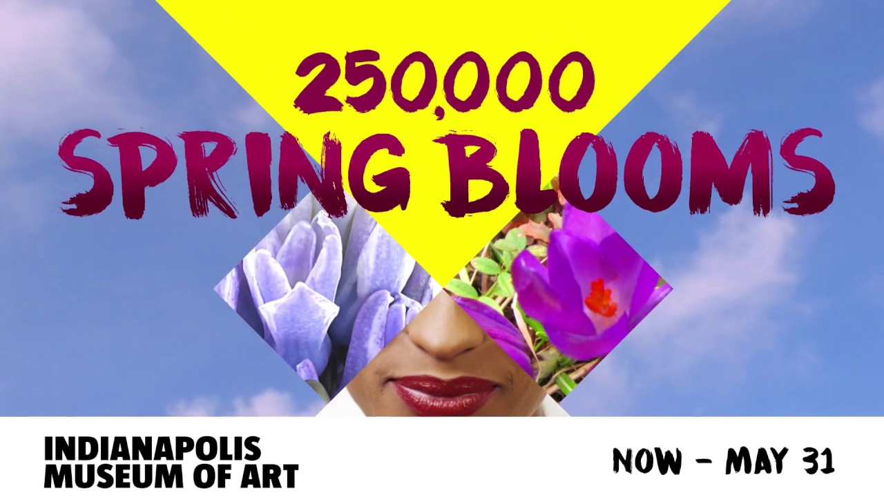 Spring Blooms at the IMA - YouTube