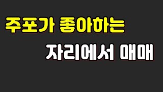 주포가 좋아하는 자리에서 매매