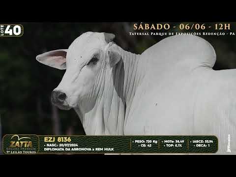 LOTE 40