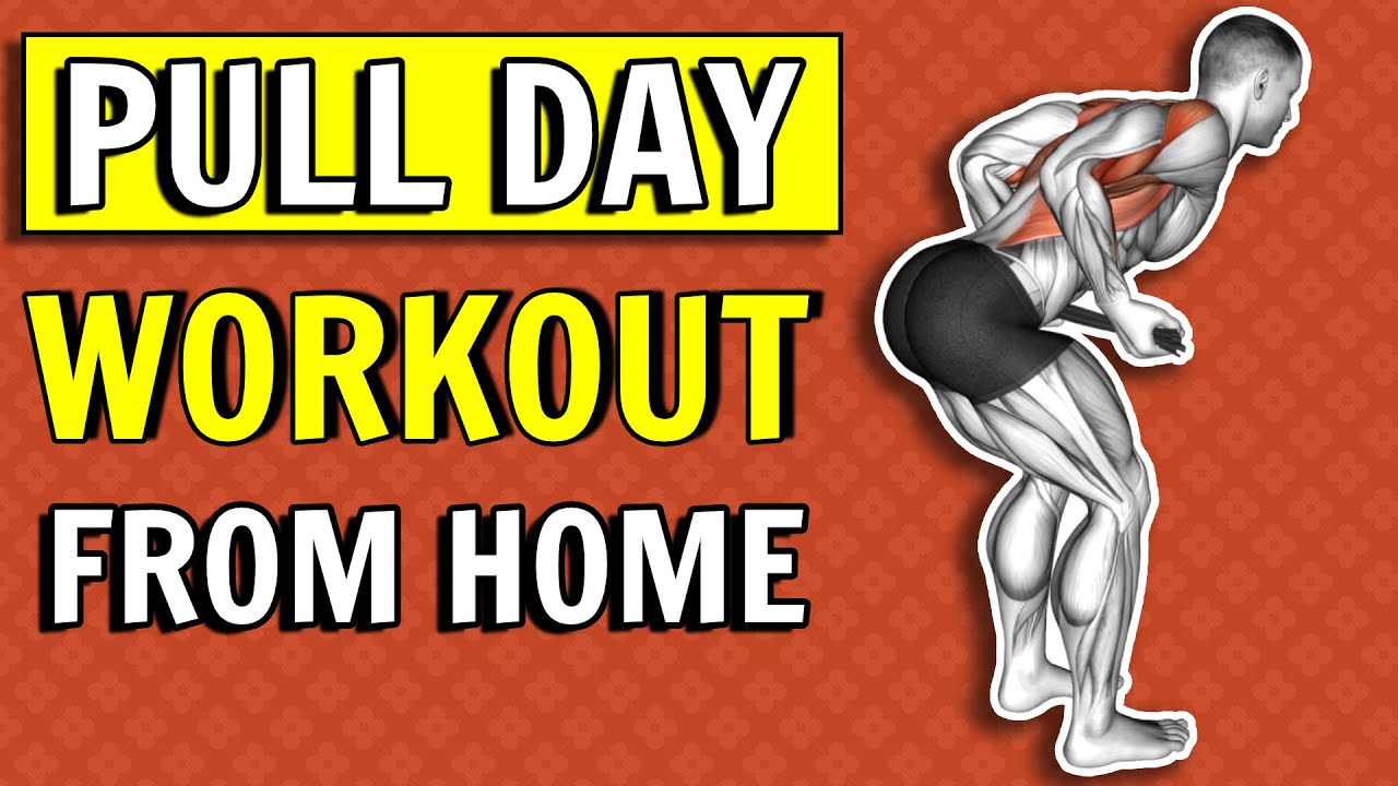 Home Back & Biceps Workout No Equipment (Pull Day Workout Without Equipment)