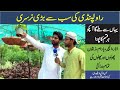 imported|Flowers|Fruits|Vegetable|Bonsai Almond Zetoon Anjeer Plants| Plants Nursery in Rawalpindi