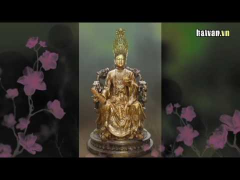 Video Văn Mẫu Cửu Trùng - youtube