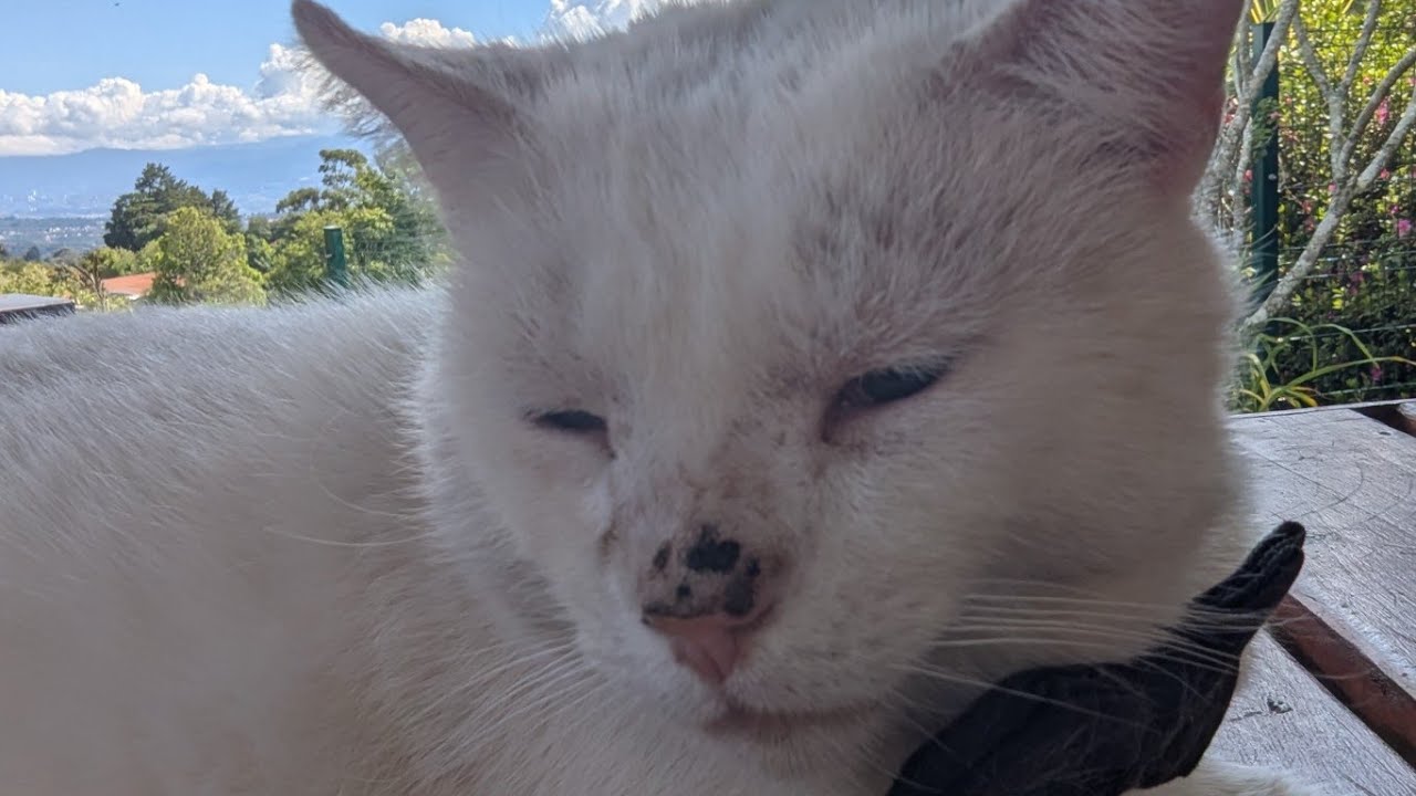 Matthew Barron is live!