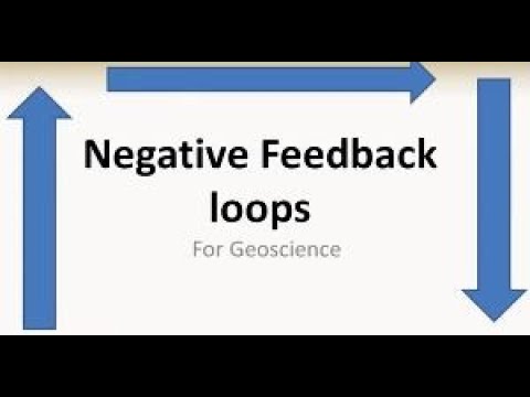 Negative feedback loops