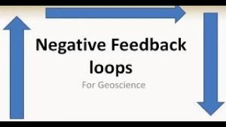 Negative feedback loops Introduction and Examples