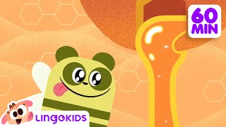 THE BEST OF BABY BOT   Educational Cartoons Compilation | Lingokids