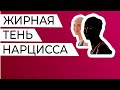 Жирная Тень нарцисса и Худая Тень невротика  Причем здесь неудачи