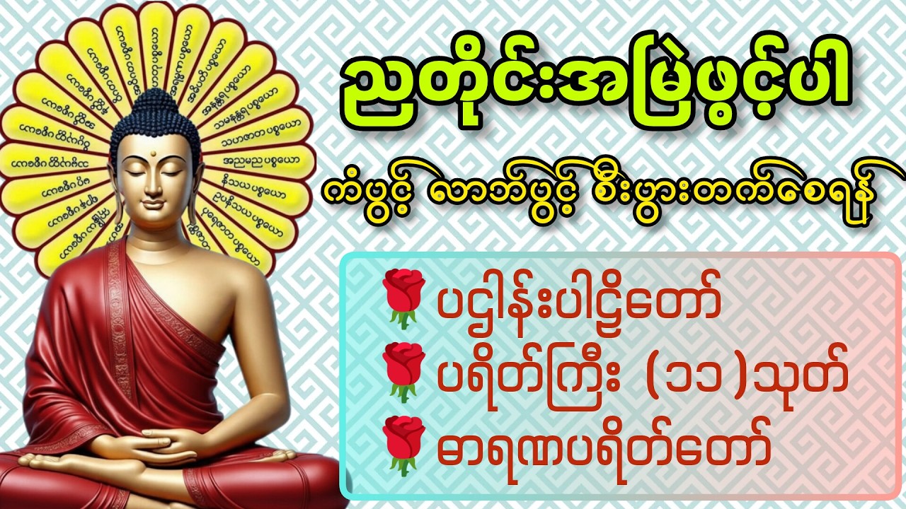 ☘️🌍ညစဥ်ဖွင့်ထား၍ အိပ်စက်အနားယူပါ ပဋ္ဌာန်း နှင့် မေတ္တာပို့ - ဘေးအန္တရာယ်ကင်းစေသောတ‌ရားတော်များ🙏🙏🙏