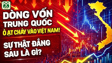 Vì Sao Trung Quốc Ồ Ạt Rót Vốn Vào Việt Nam? Điều Gì Đang Thực Sự Xảy Ra?