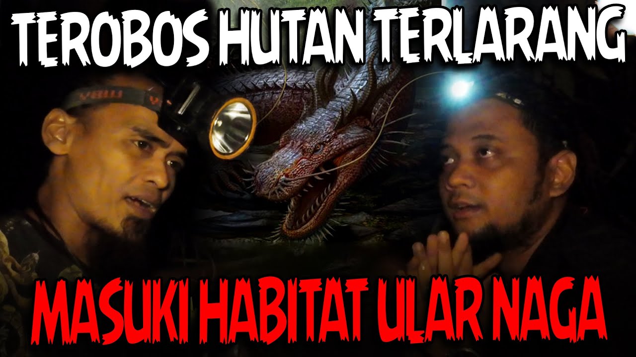 PETUALANGAN LINTAS BATAS‼️BELUSUKAN MASUK HUTAN ANGKER DI LERENG GUNUNG SELAMET