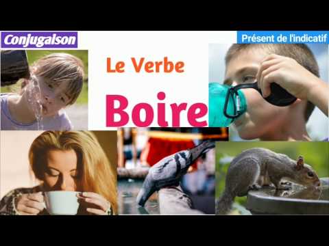 conjugaison-du-verbe-boire-au-présent-de-l'indicatif
