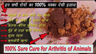 पशु की बाय-वादी घुटनों का दर्द सूजन का 100% पक्का इलाज || 100% sure cure for arthritis of animals