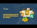AdSuite - Adicionando Status do Lead individual e em massa