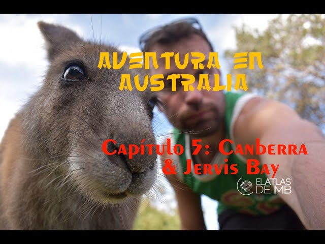 Aventura en AUSTRALIA | Capítulo 5 | CANBERRA & JERVIS BAY