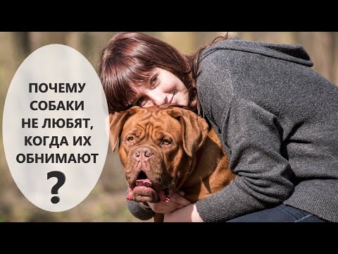 Видео: Почему собаки не любят, когда их обнимают