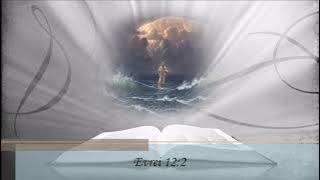 Utu Suteu - Singur pe cerul vietii