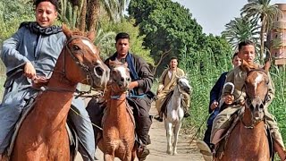 القصيده المزلزله الصعيد اقوي رد علي الخسيس / امسك موس وسيبه يجرحك ولا تحكي لندل وتسيبه يفضحك مع رائد