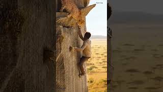 #naturashockciao @NaturaShockCiao #natural #regnoanimale #creature #predatori $curiosità