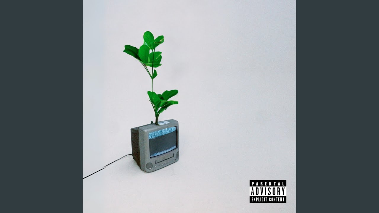 Grapevine auf YouTube ansehen Grapevine auf YouTube ansehen