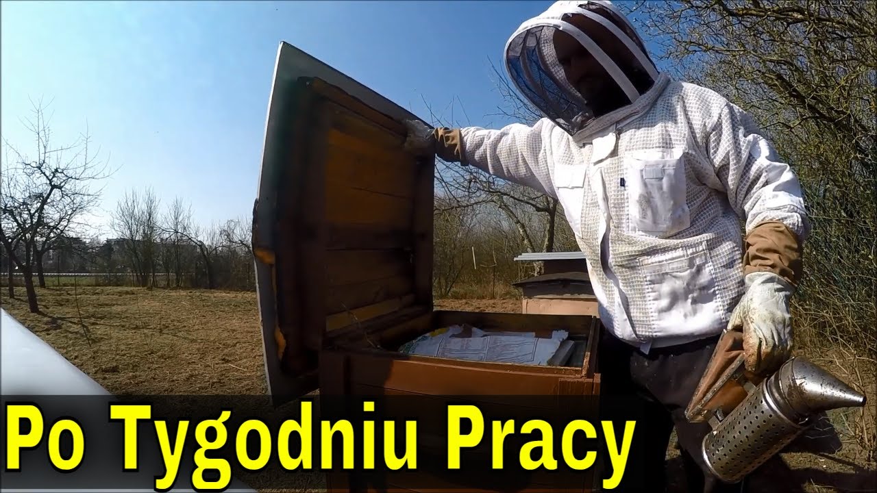 Zwężanie i poszerzanie gniazd na wiosnę.