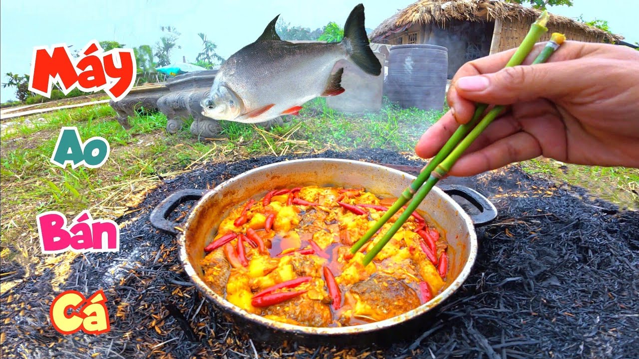 Ăn Thử Cá Mẹ Nấu Ngay Ngoài Vườn Và Định Ngày Máy Ao Bán Cá / Quế Nghịch