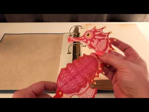 Photo Album ASMR |  Exploring a Collection of Themed Items - No Talking
