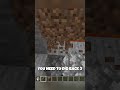 Walking on Lava in Minecraft: Java Edition is actually possible and you can do it too....