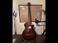 Ibanez Acoustic Bass Fretless AEGB24FE-MHS, saddle work, nylon strings D’Addario. #acousticbass