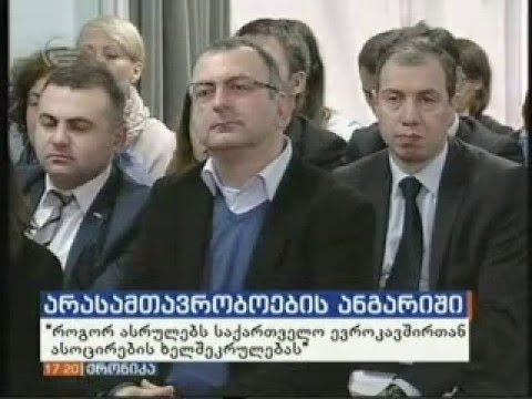 როგორ გაიარა საქართველომ ასოცირების ხელშეკრულების ერთი წელი