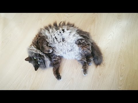 Лучший кадр лучшего